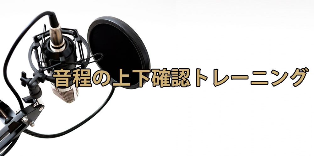 【動画】音程が取れない方必見!~音の高低体感レッスン~